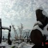 雲南風情三月雪景