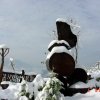 雲南風情三月雪景